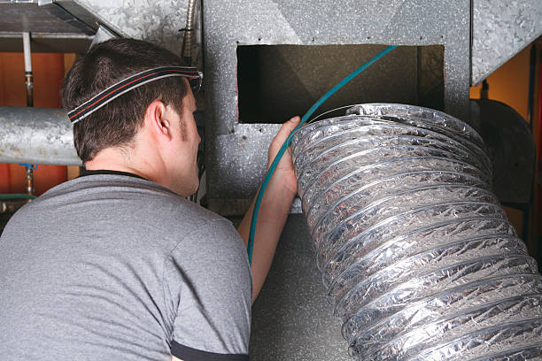 Best Air Duct Sanitizing Services  in Abaster, AL