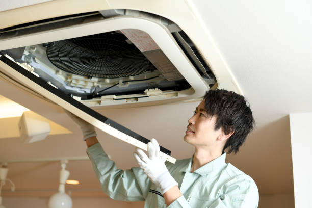 Best Affordable Air Duct Cleaning  in Abaster, AL